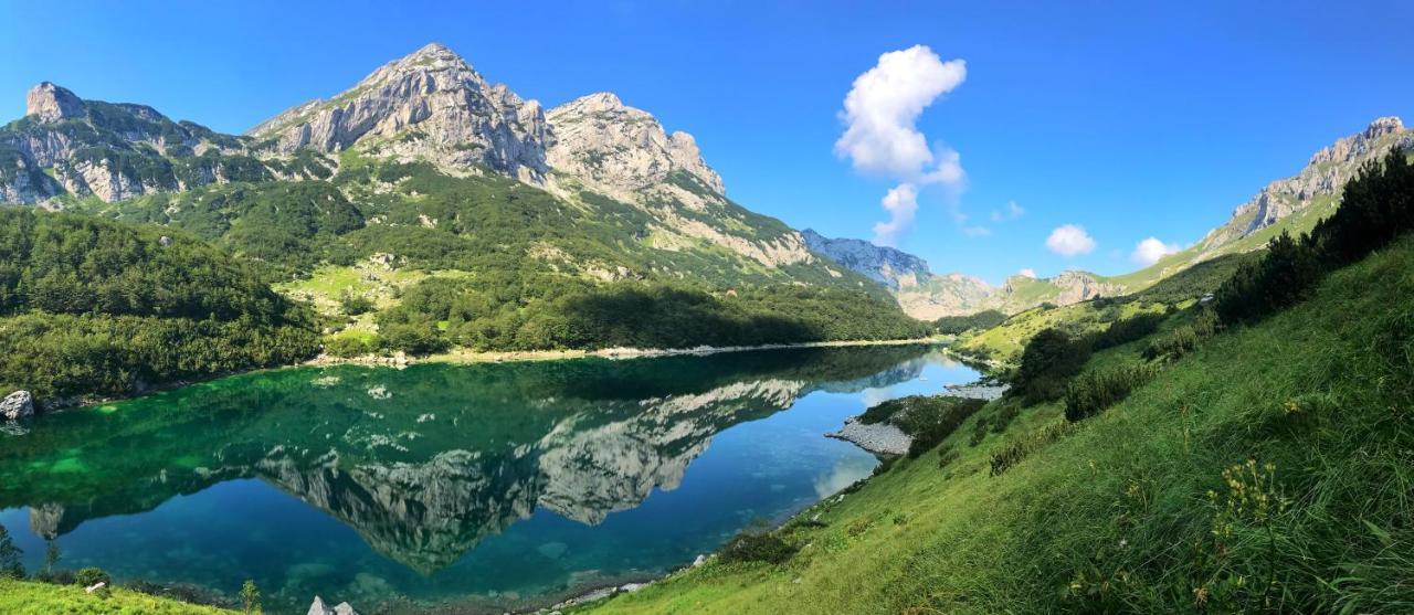 Underwoods Zabljak Guesthouse Dış mekan fotoğraf